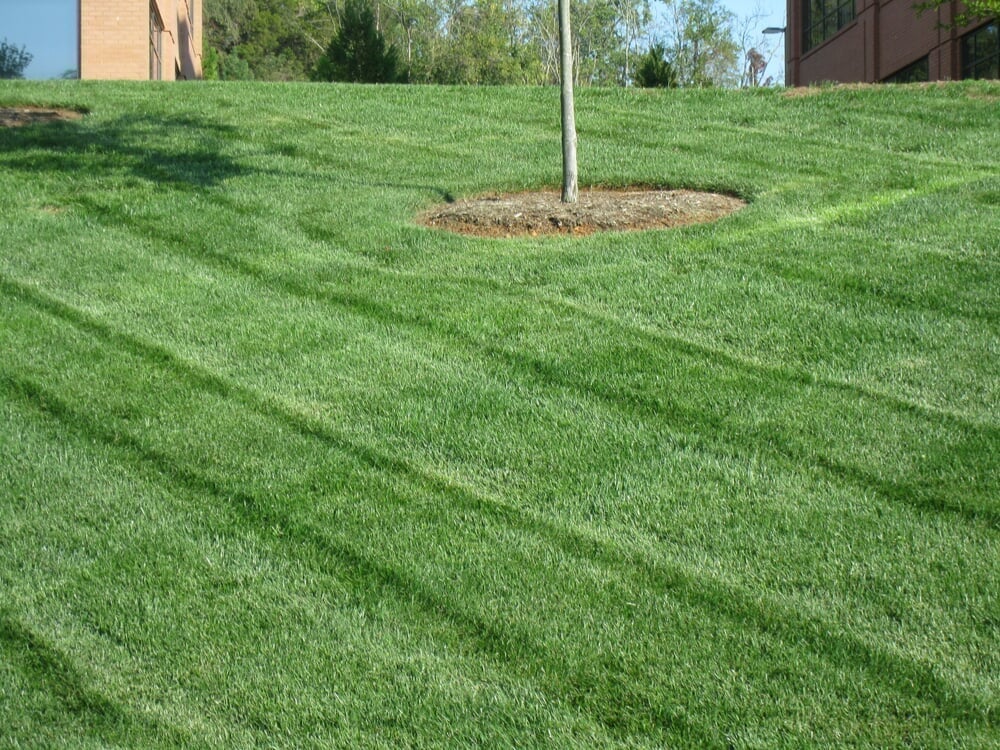 Dunn's Landscaping Company