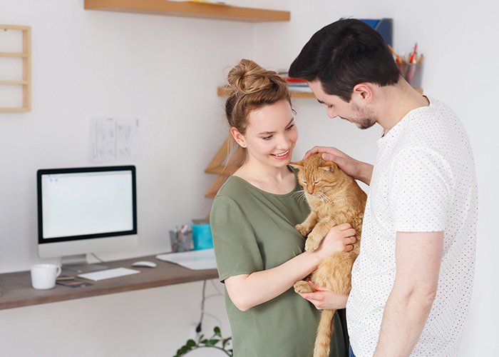 Trusted Pet Boarding Tulsa, OK Cedarwood Veterinary Clinic