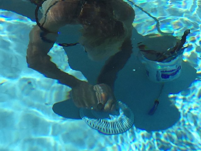 Pool Equipment Installation | Tucson, AZ | Perfection Pools