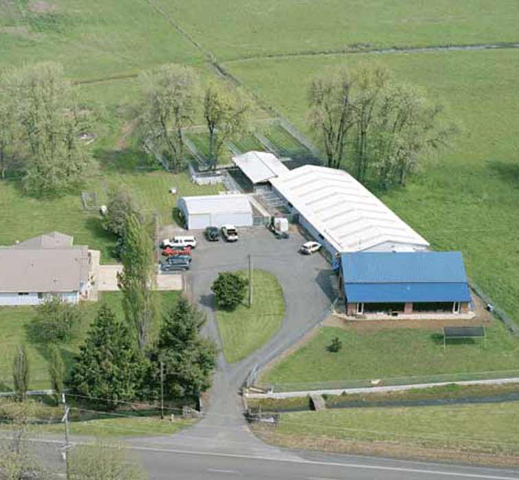 Pet Boarding Dallas, OR The Shaggy Dog Inc