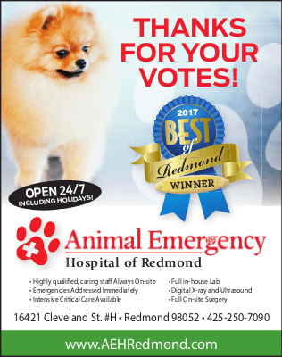 best pet emergency hospital