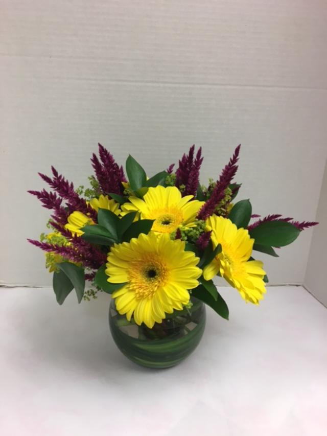 Daisy Compo Farm Flowers Westport, Connecticut