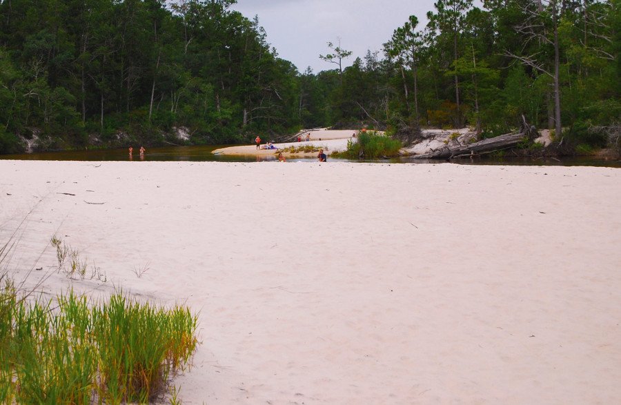 Canoeing Photos Milton, FL Blackwater Canoe Rental