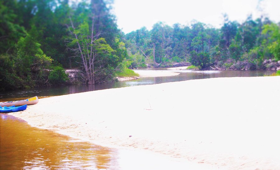 Canoeing Photos Milton, FL Blackwater Canoe Rental