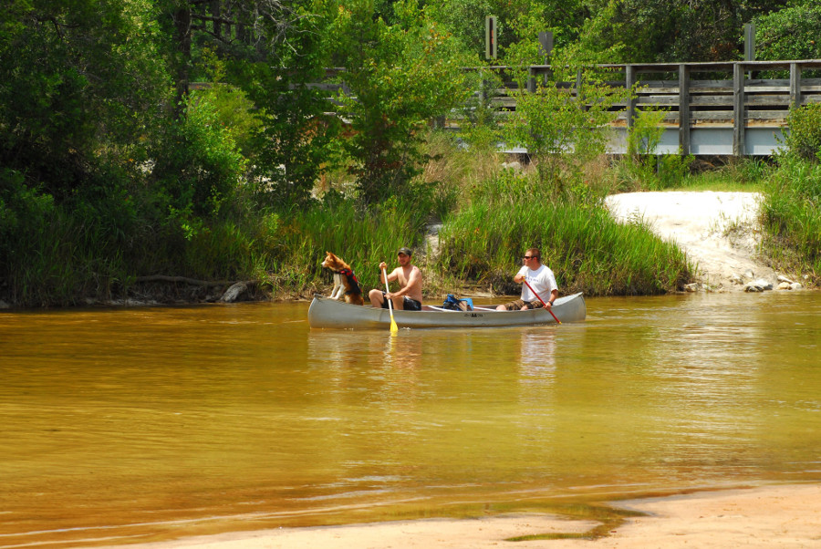 Canoeing Photos Milton, FL Blackwater Canoe Rental