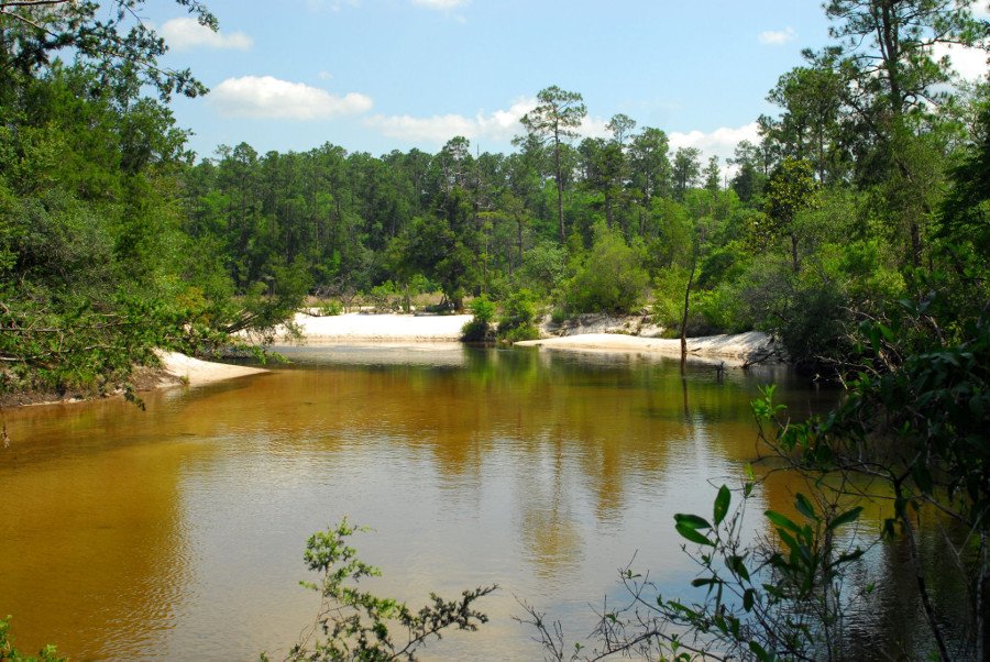 Canoeing Photos Milton, FL Blackwater Canoe Rental
