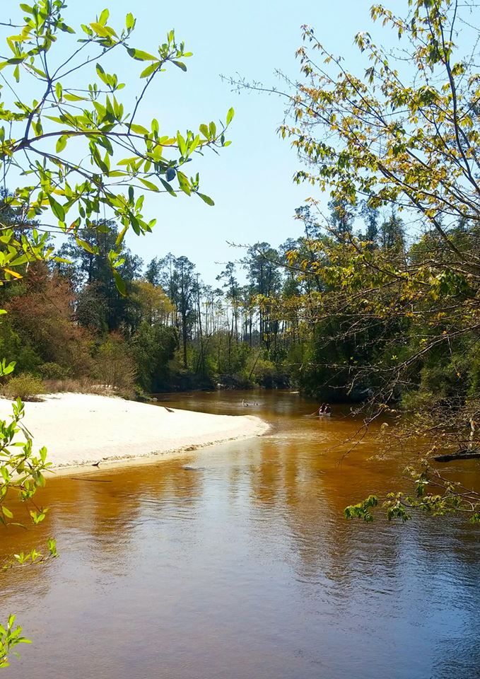 Canoeing Photos Milton, FL Blackwater Canoe Rental