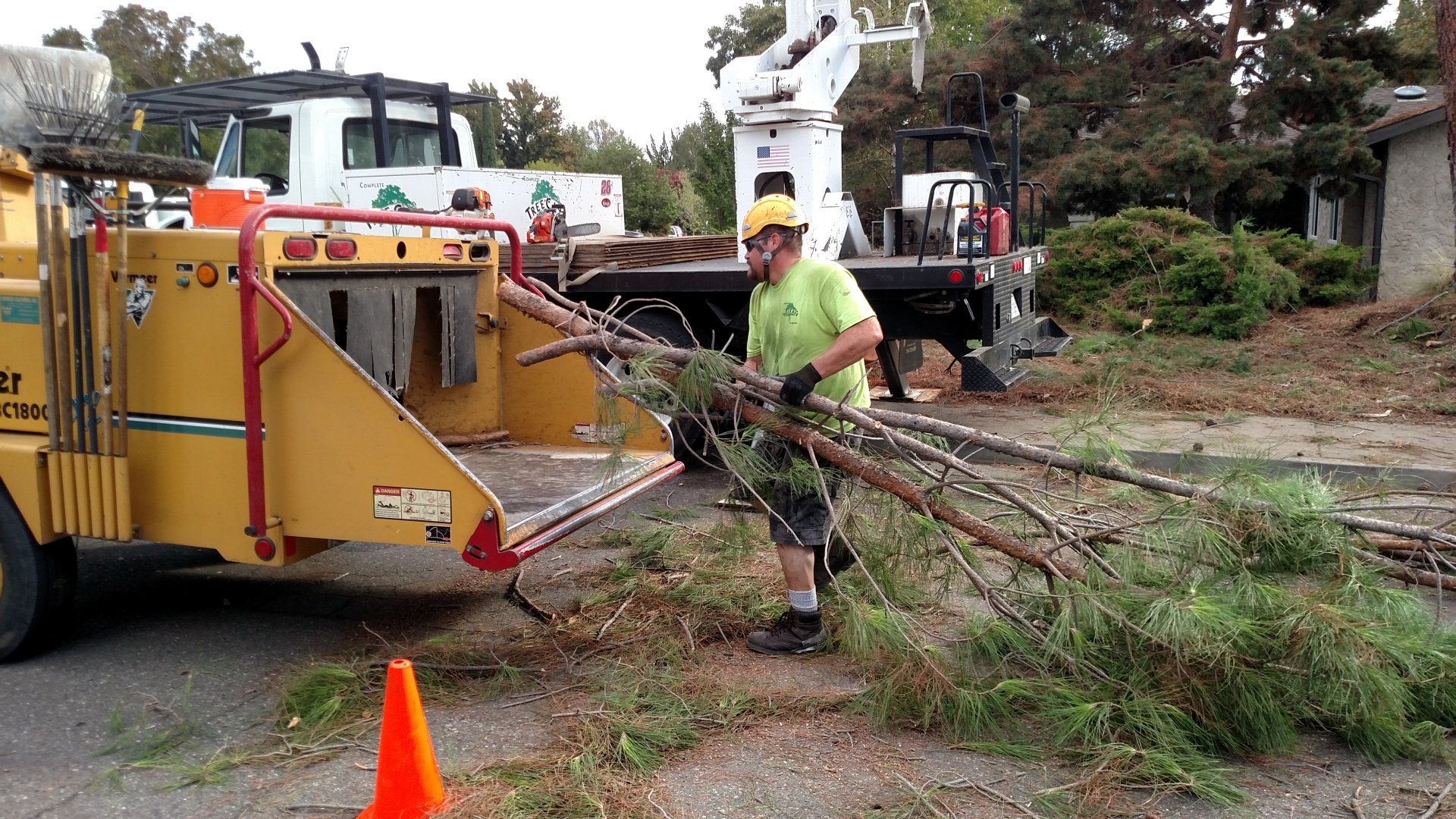 Photo Gallery Chico, California Complete Tree Care & Service