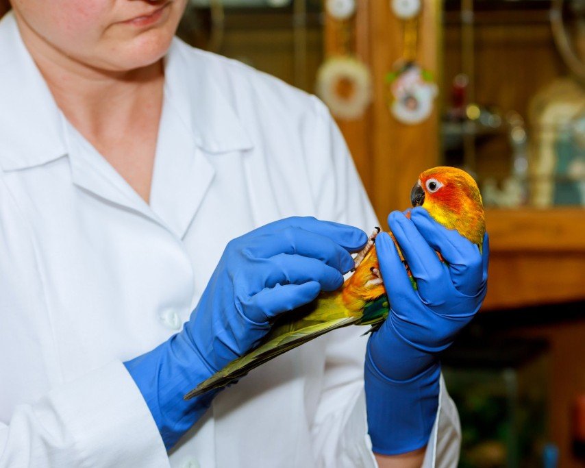 Laboratory Broward County, FL Backos Bird Clinic