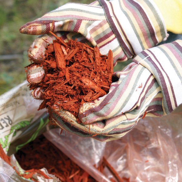 Too Much Mulch Can Damage Your Trees