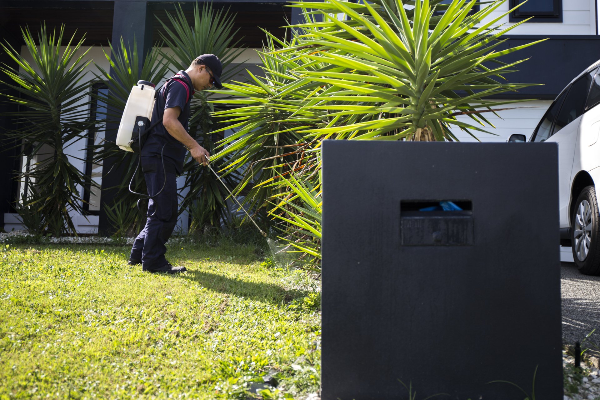 Pest Control Tampa, FL Best Termite & Pest Control, Inc.