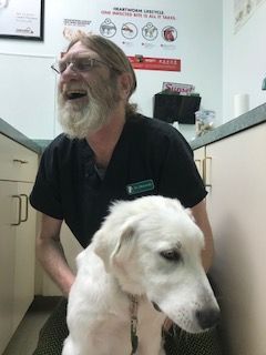companion pet clinic near me