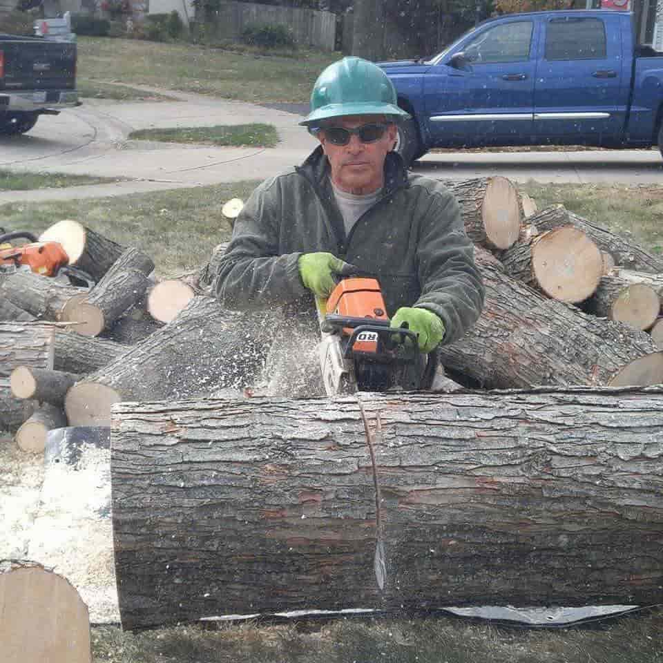 Tree Planting Columbus, OH Arborist Care Tree Service