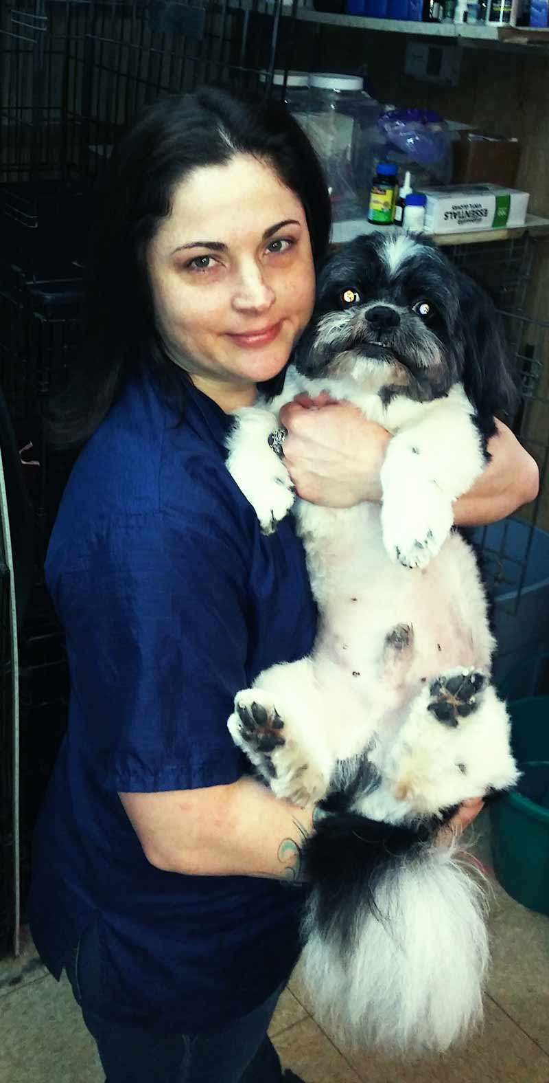 Experienced Dog Groomer Bethlehem, PA Canine Grooming Shoppe