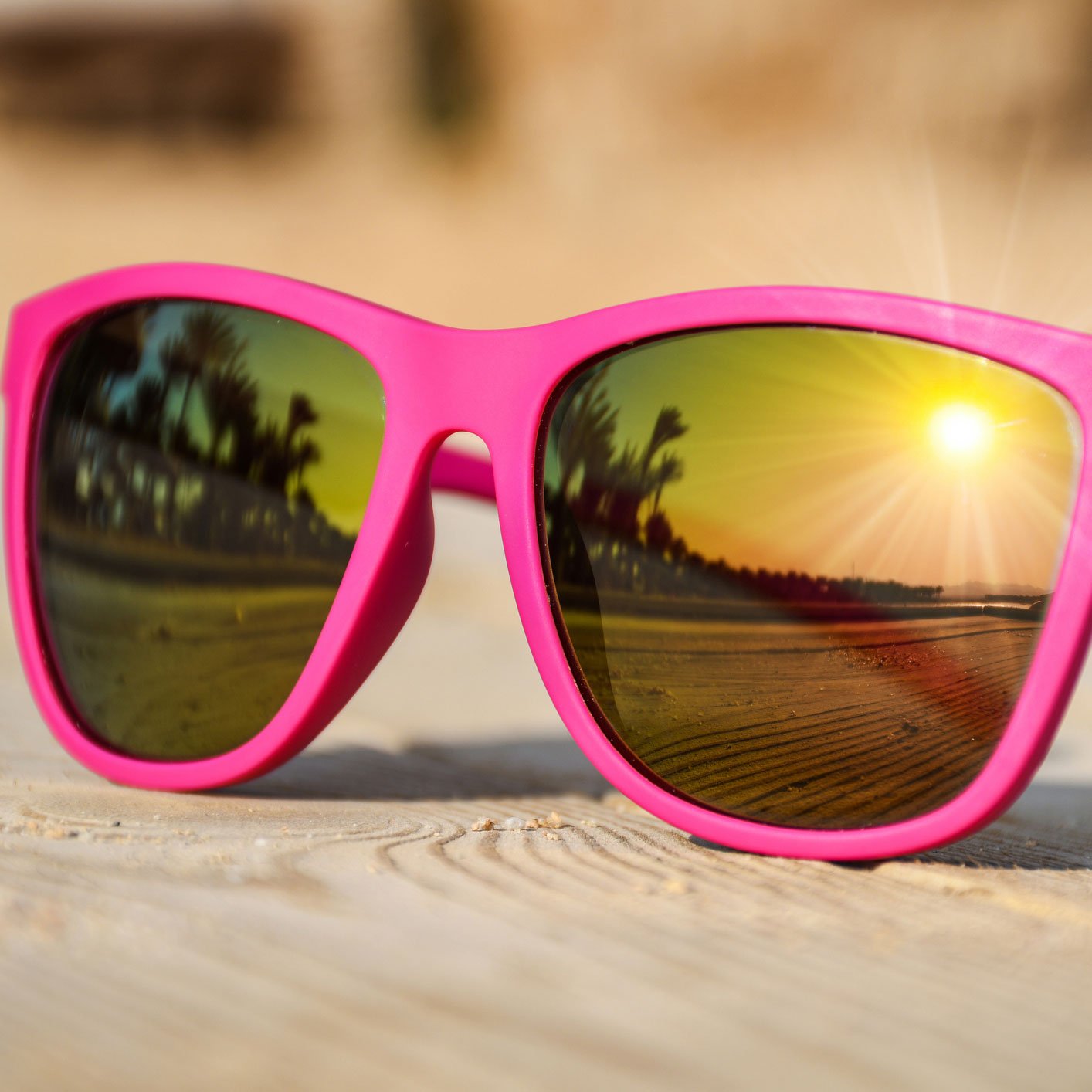 Pal Optical Optometrist Lexington Ky