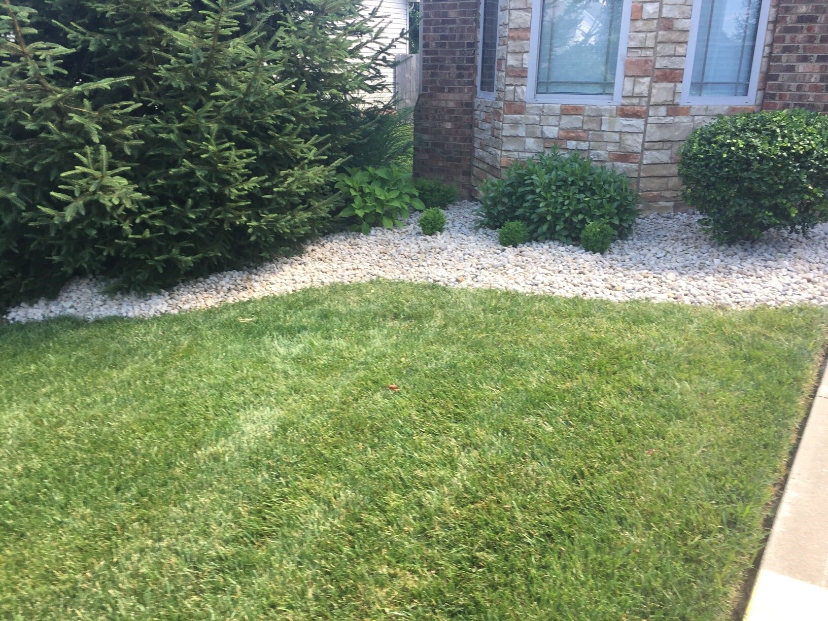 Gravel Lexington, KY Diamond Pond / Kentucky Garden and Fountain