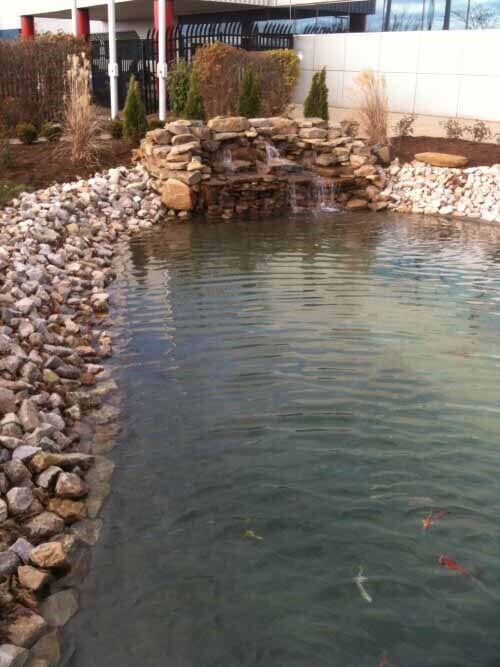 Pond Construction Lexington, KY Diamond Pond / Kentucky Garden and