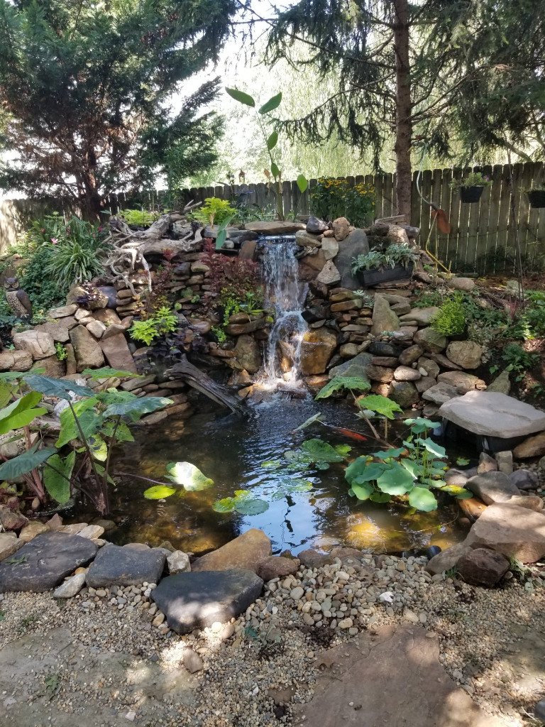 Pond Maintenance - Knoxville, TN - JKS Aquatics