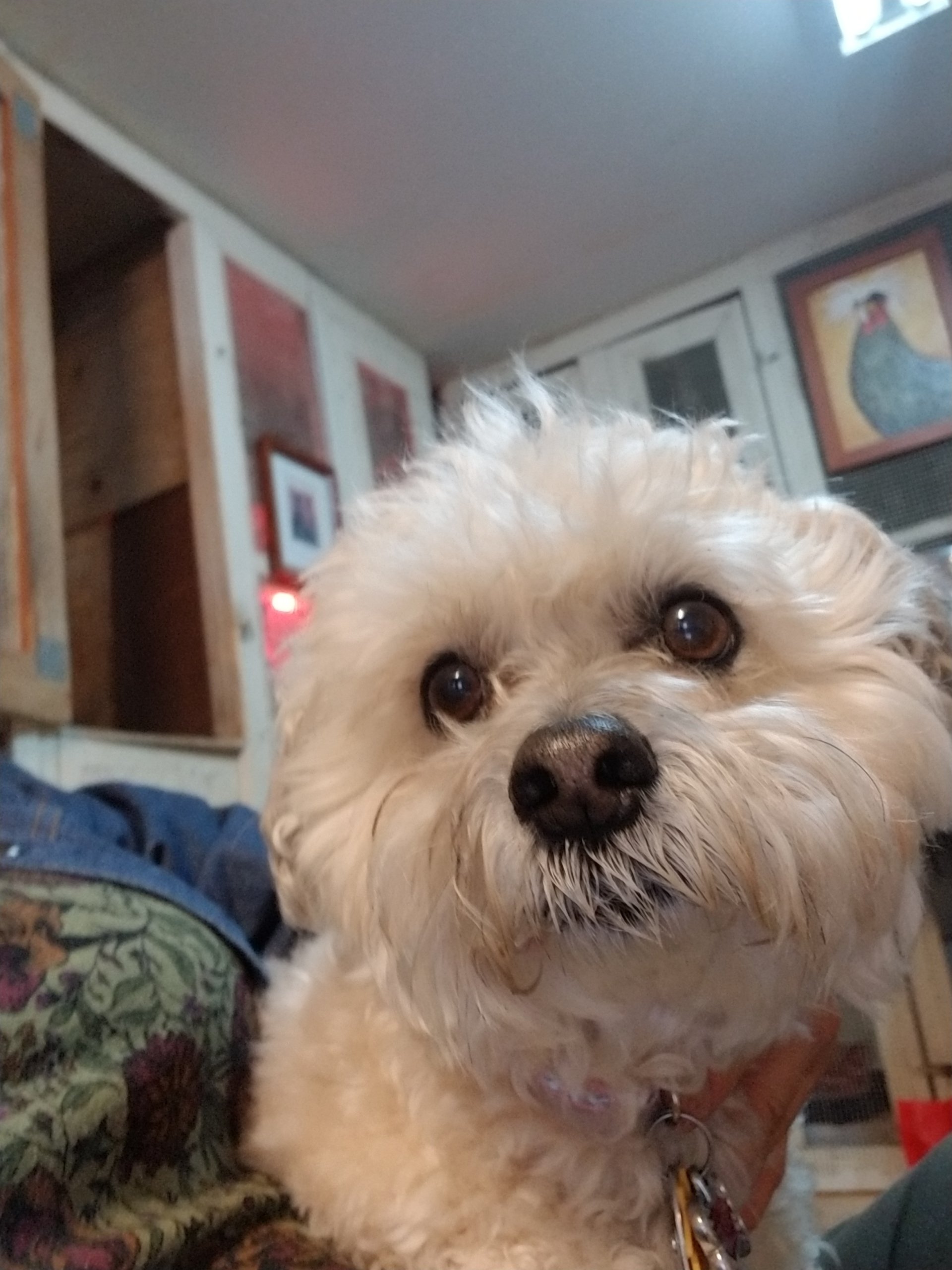 Large Animal Boarding Facility Spokane, WA Marcinda Kennels