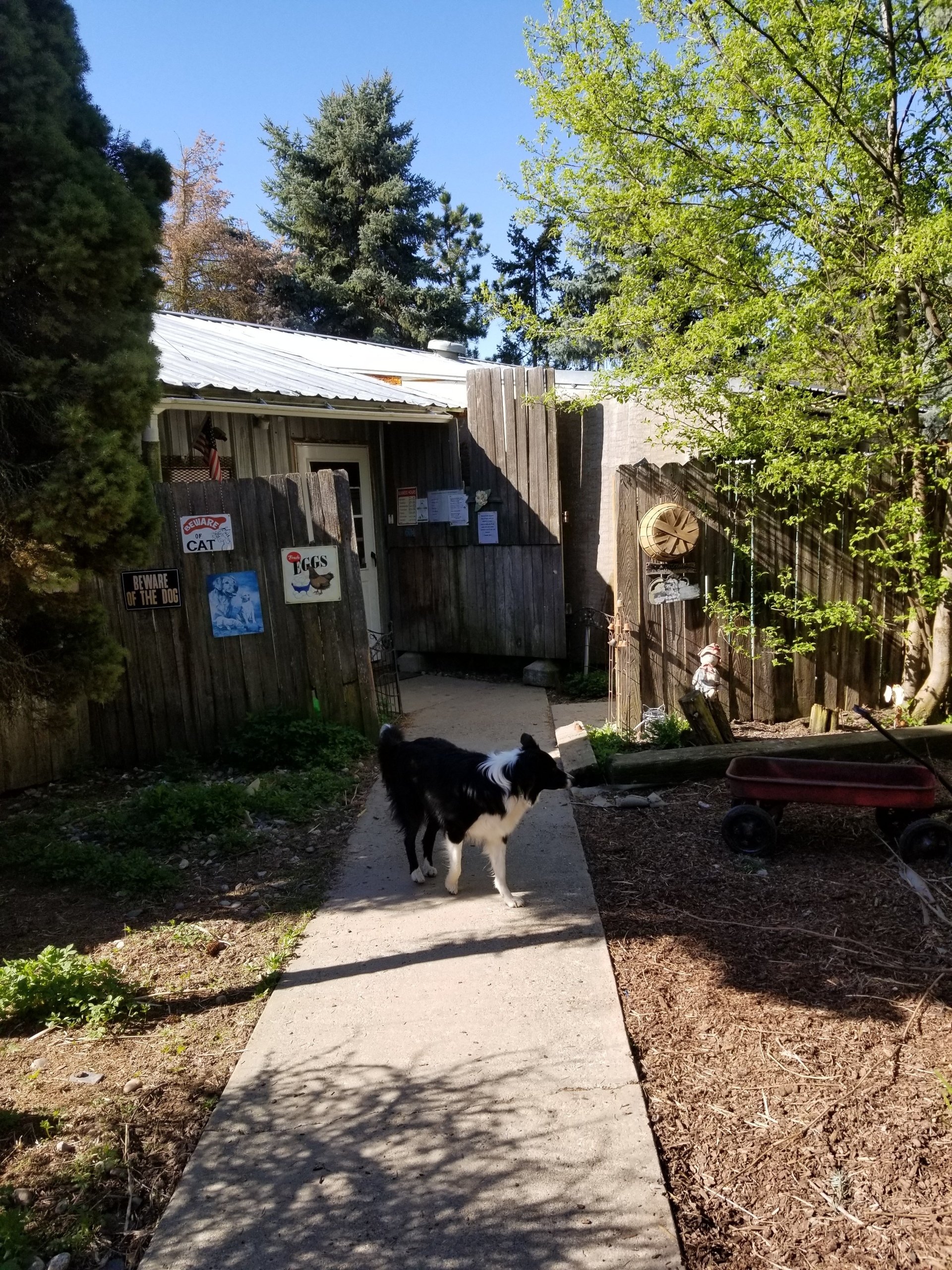 Large Animal Boarding Facility Spokane, WA Marcinda Kennels