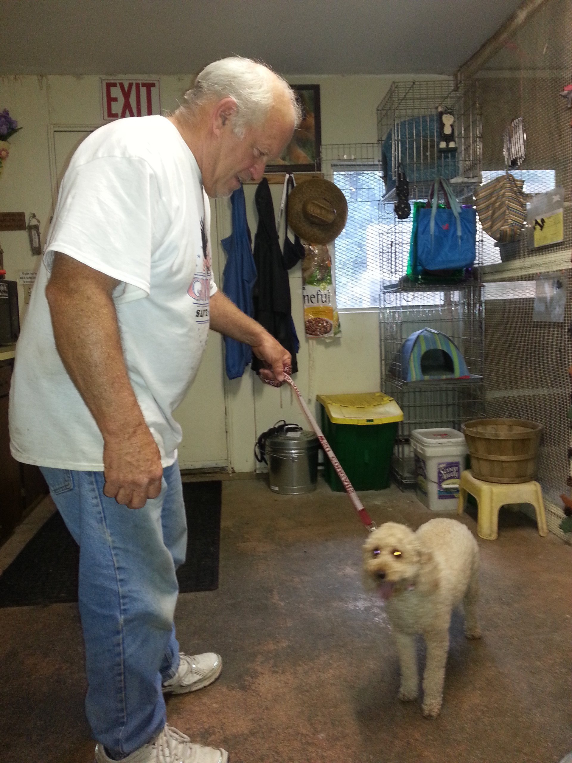 Large Animal Boarding Facility Spokane, WA Marcinda Kennels