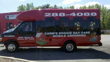 volunteers for animals near me