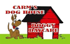 how old do cats have to be to get neutered