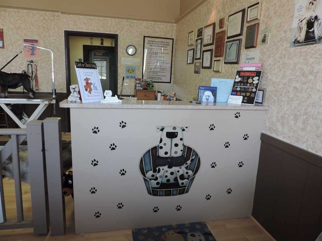 Groomers Cortland, OH JoKar's Grooming