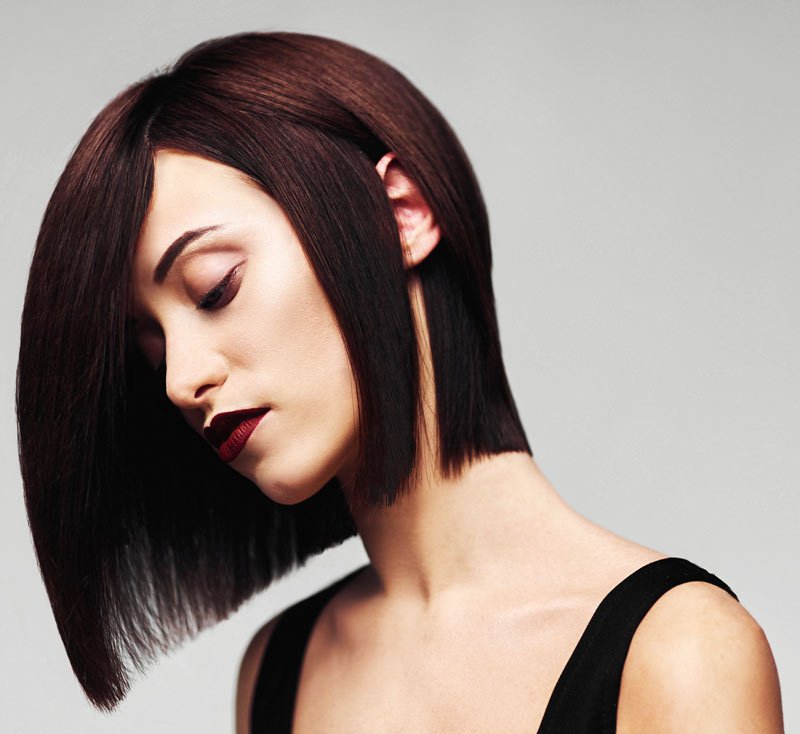 Our Services in Novato CA Le Cut of Marin