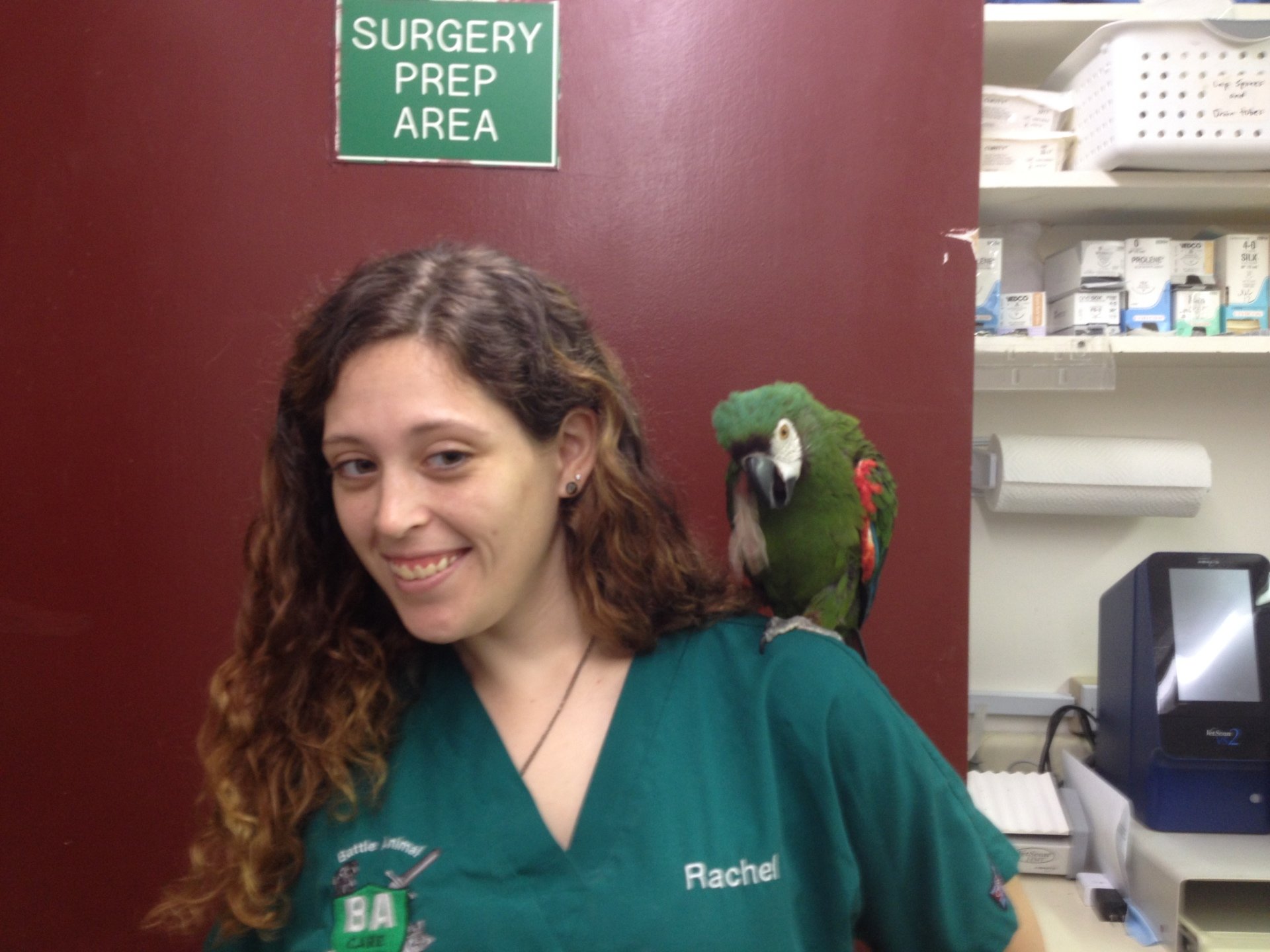 Battle Animal Care Clinic, LLC Your Local Vet