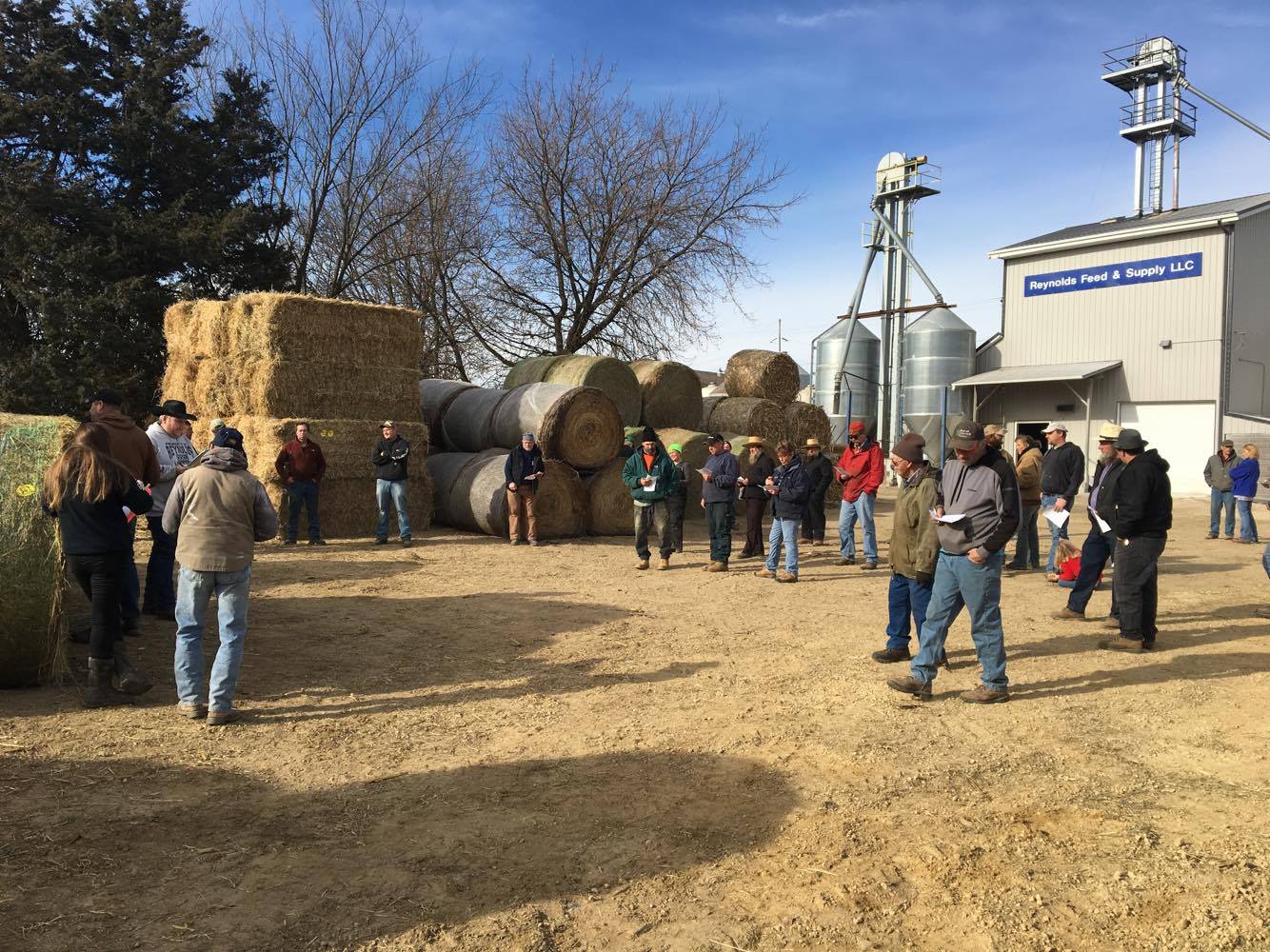 (Reynolds Livestock, LLC Dodgeville, WI)