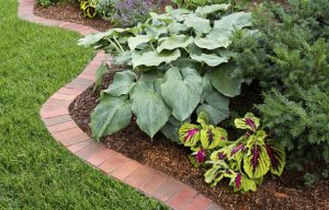 Curved Garden Border – Lexington, KY – Mow-Mow's Family Landscaping