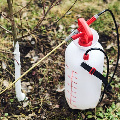 colorado pest control pest management garden sprayer pest control services in pueblo co company the bugman colorado pest control pest management garden sprayer pest control services in pueblo co company the bugman