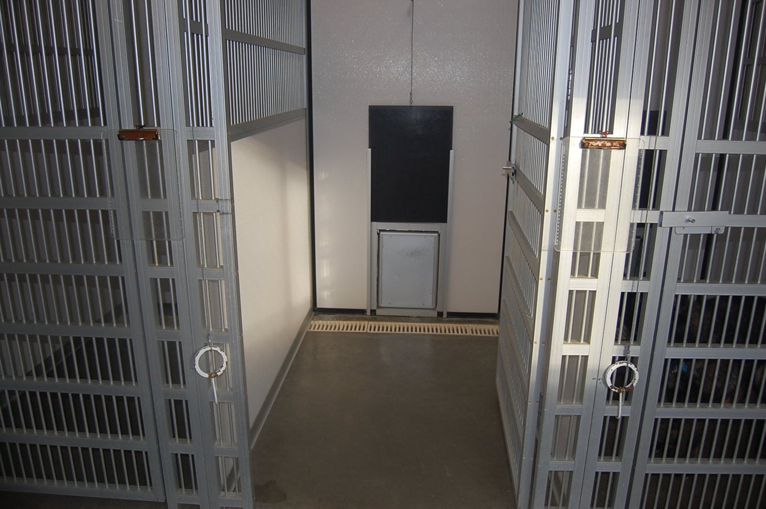 Boarding, Training and Day Care Stafford, VA Colonial K9