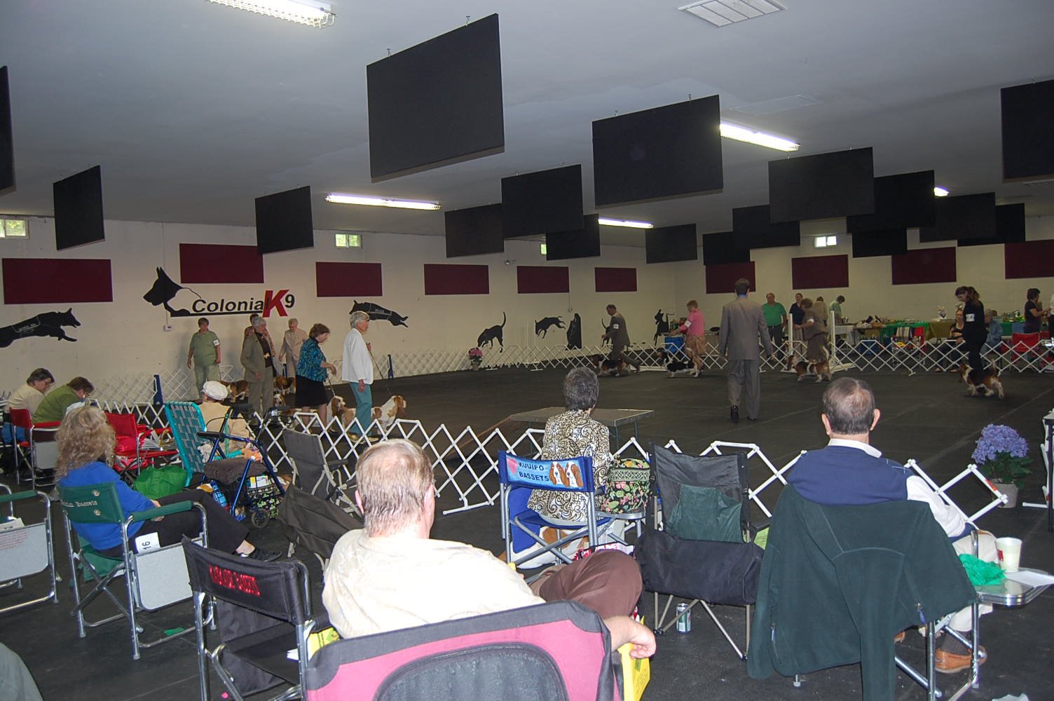 Boarding, Training and Day Care Stafford, VA Colonial K9