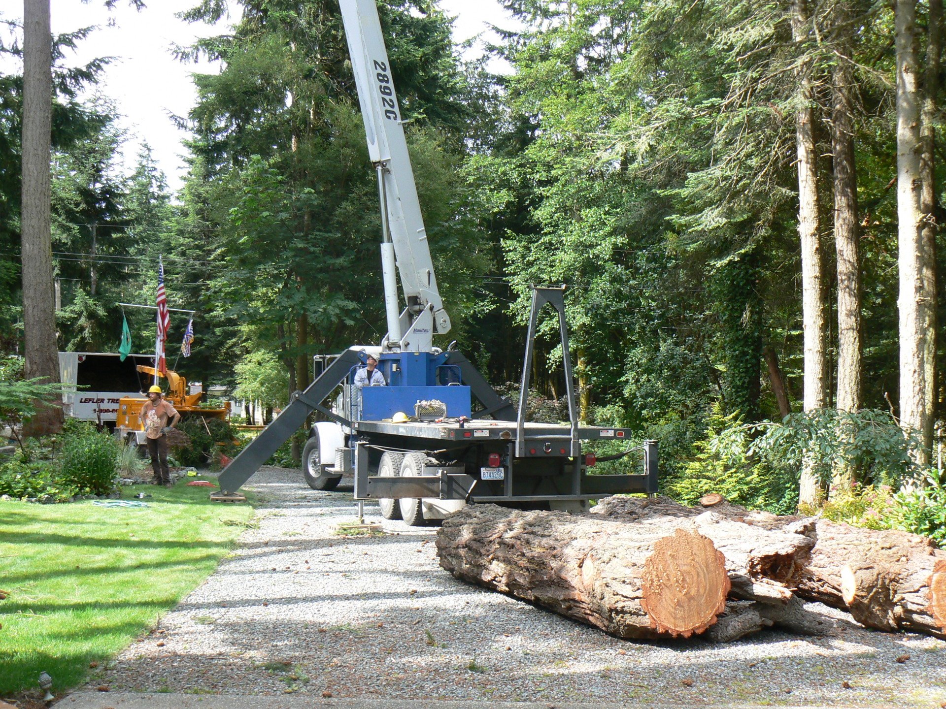 Tree Trimming in Kitsap County, WA Lefler Tree Service