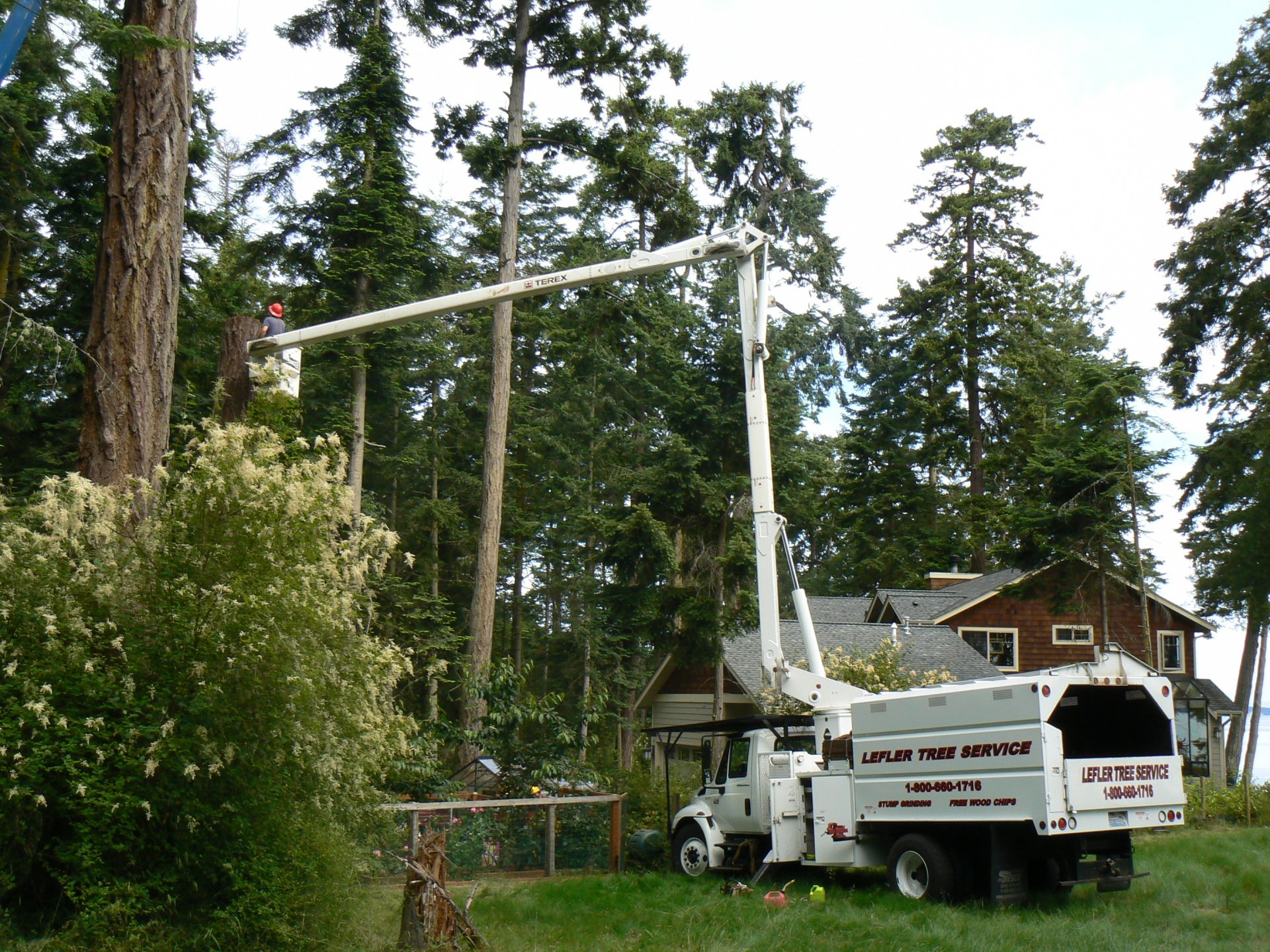 Tree Removal Port Orchard, WA Lefler Tree Service