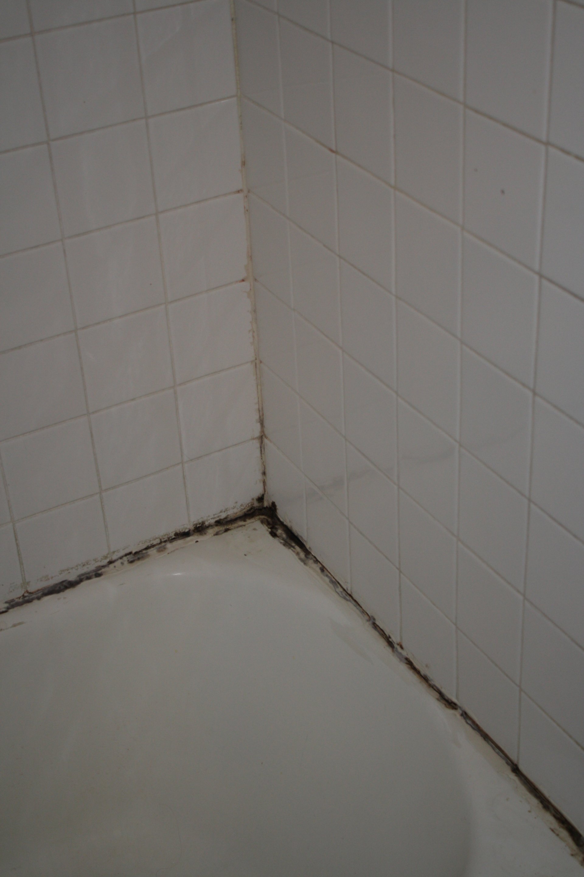Bathroom Re Caulking Bathroom Caulking Richmond VA The Grout Geeks