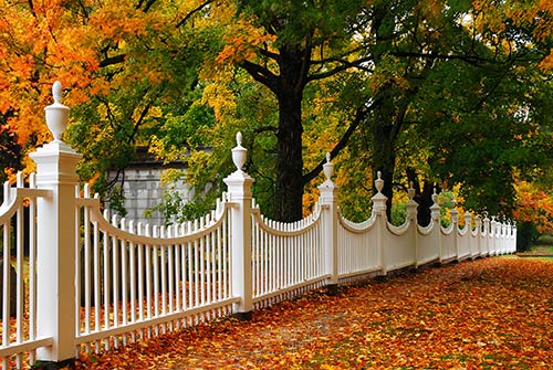 Steps for Planning a Gorgeous Garden Fence Steps for Planning a Gorgeous Garden Fence