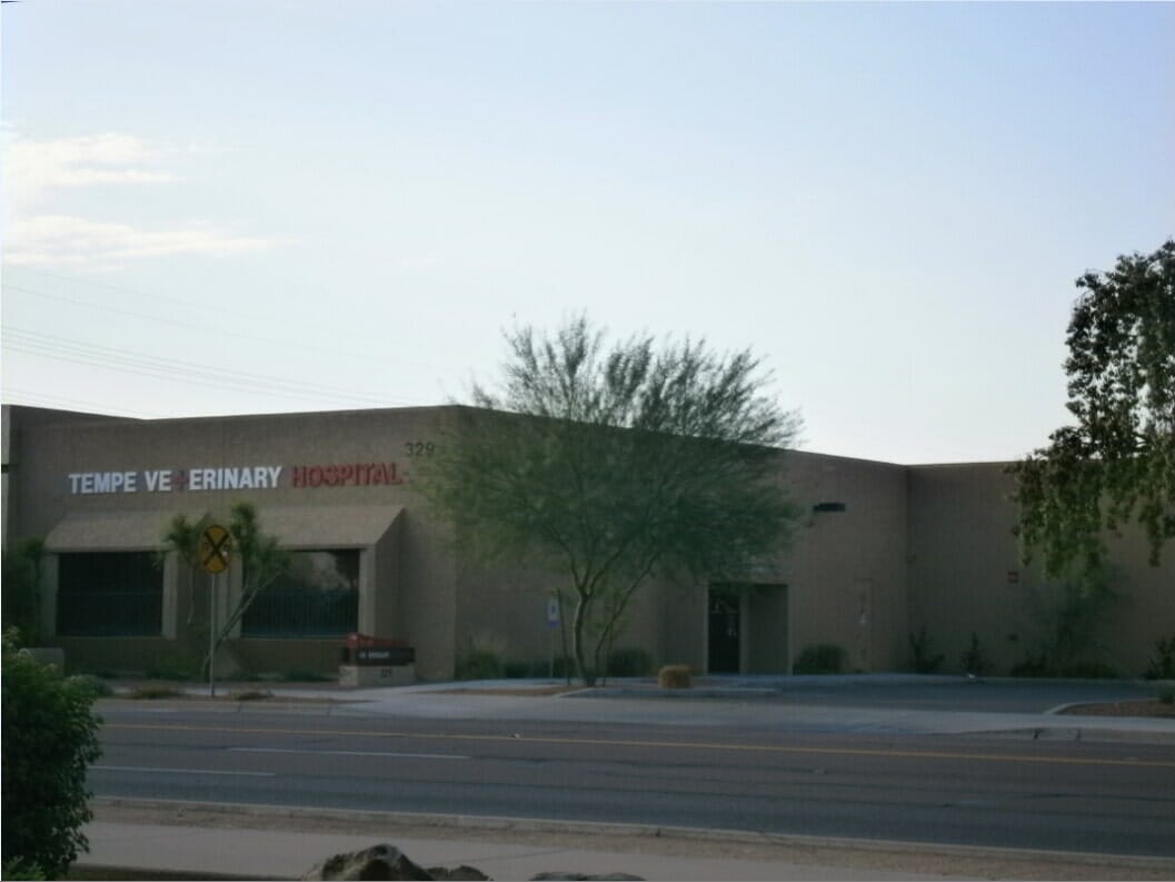 Veterinary Gallery Tempe Veterinary Hospital Tempe, AZ