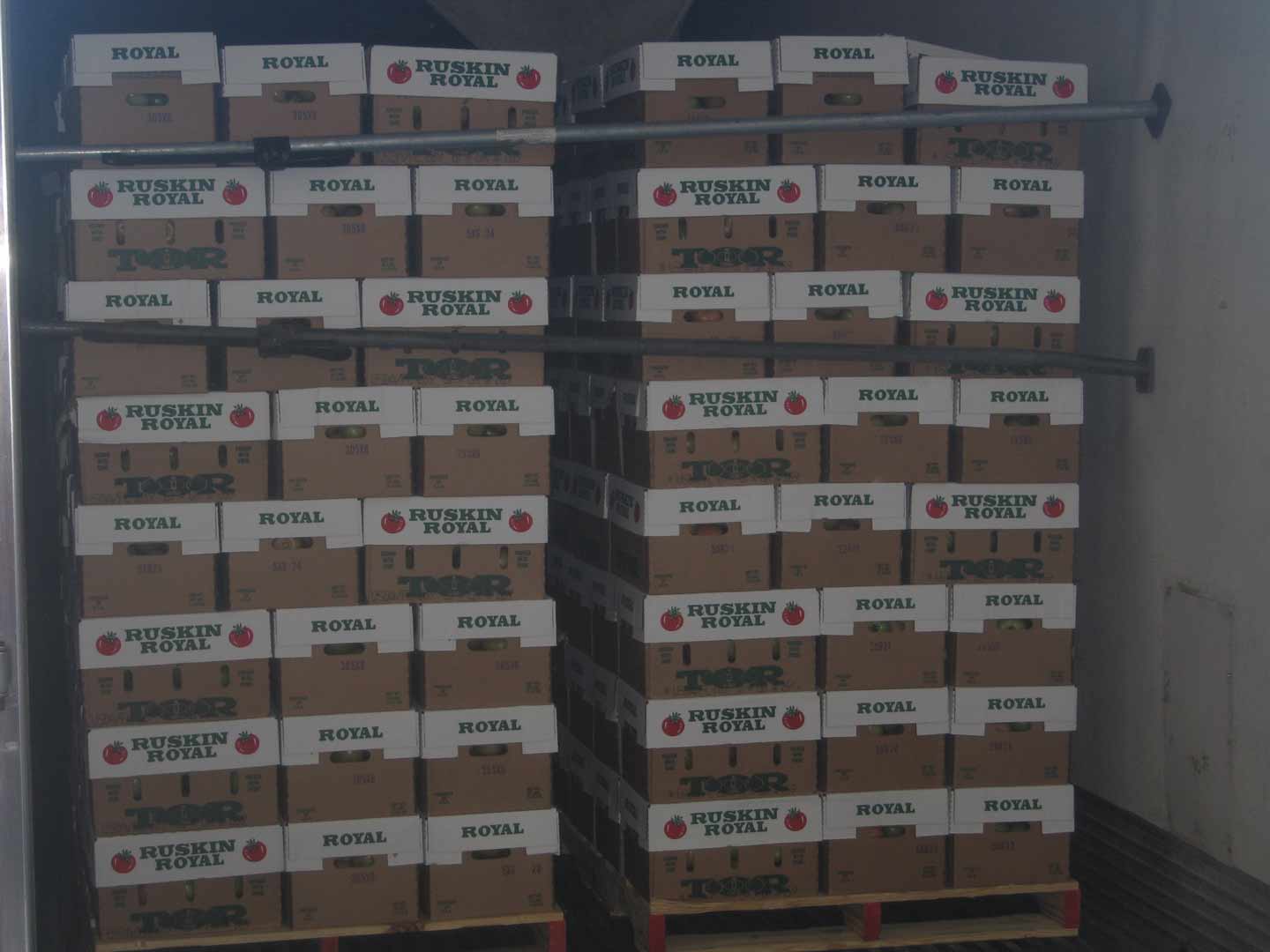 Tomato Supplier Ruskin FL Tomatoes of Ruskin Our Farms