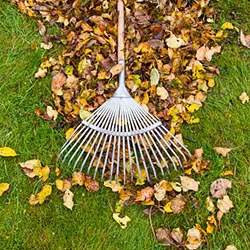 lawn care services chain of lakes il adams lawn service inc lawn cleaning
