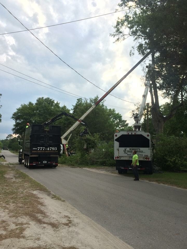 Photo Gallery Jacksonville, FL Robert's Tree Service