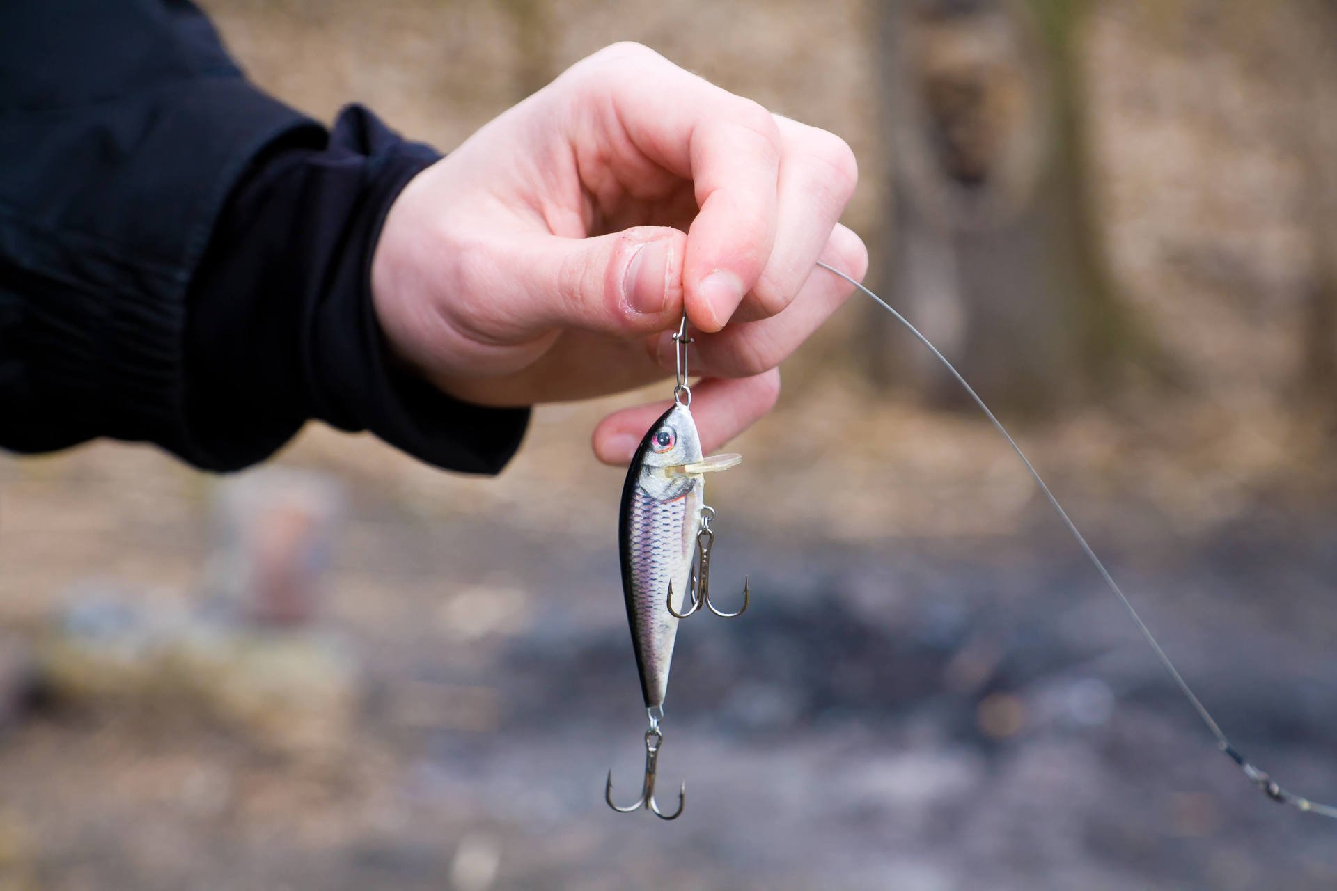 All about fishing Sarasota Florida Costa Sunglasses and more