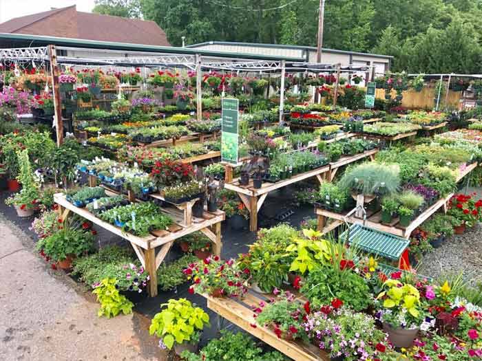 Gardening Easley, SC Winslett's Market