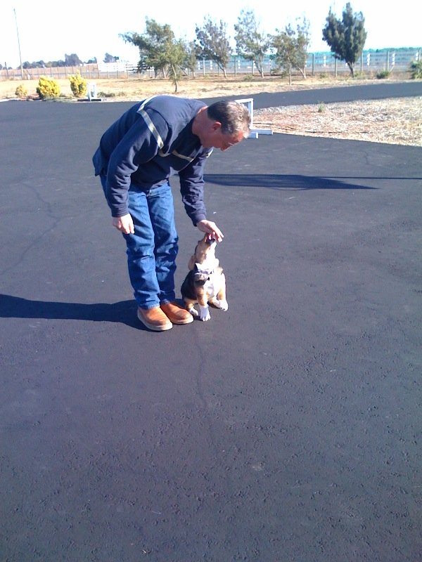 Pet Grooming & Boarding Vacaville, CA Alan's Canine Training and