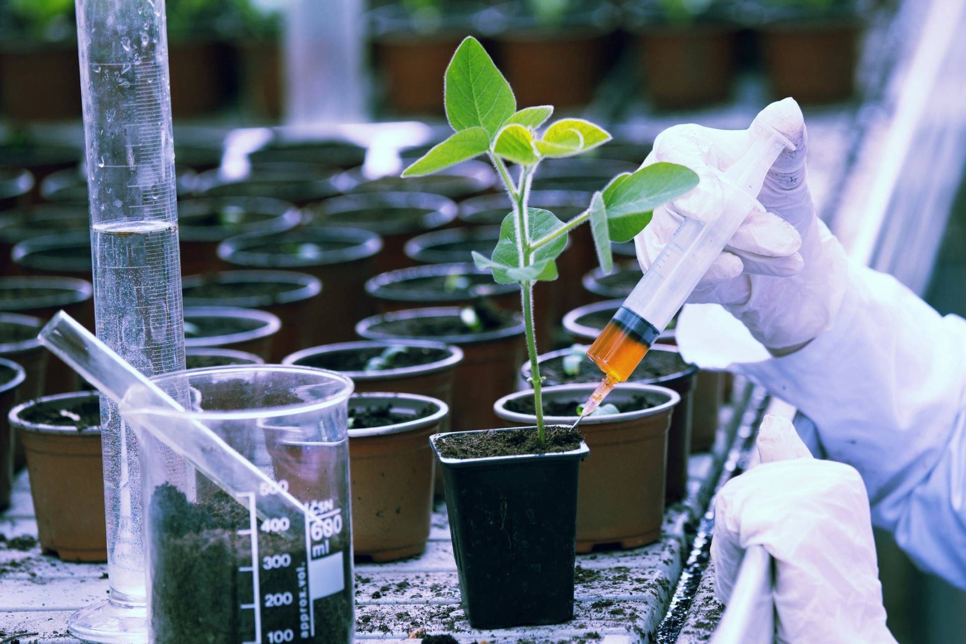 Soil & Water Testing Services Chambersburg, PA Franklin Analytical Inc.