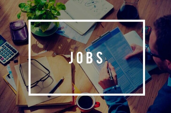 career pro resume services