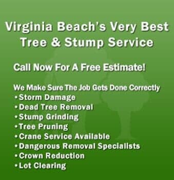 Virginia Beach's Very Best Tree & Stump Service - Tree services in Virginia Beach, VA