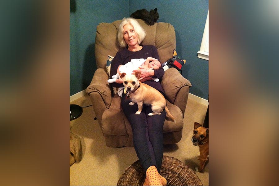 Animal Gallery Alta Vista Veterinary Clinic Hayward, CA